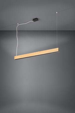 Lampa wisząca TERMINI 1 czarna (39718) - EGLO