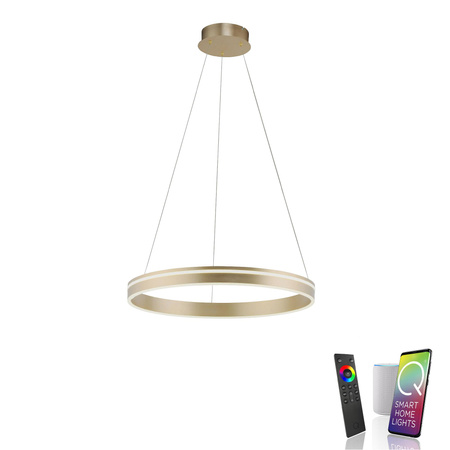 Q-VITO LAMPA WISZĄCA MOSIĄDZ (8411-60) - Paul Neuhaus