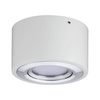 Argun Oprawa sufitowa LED 1x4,8W Biały Matowy / Aluminium Szczotkowane (PL79708) - PAULMANN