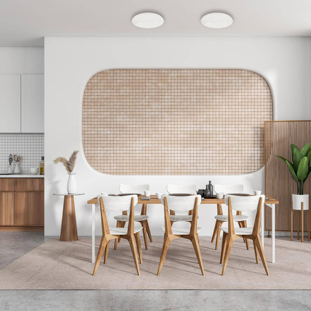 Plafon ALLISTER 36W LED + pilot (ML8231) - Milagro