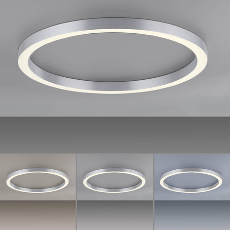 Lampa sufitowa PURE-LINES, ALUMINIUM (6306-95) - Paul Neuhaus