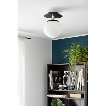 PLAAT C czarna lampa ścienna / kinkiet z mosiądzem z podwyższoną szczelnością IP44 (PLC123S0) - Ummo