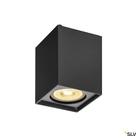 Lampa ścienna i sufitowa ALTRA DICE CL(1002216) - SLV