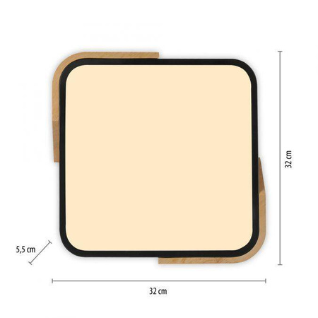 Plafon kwadratowy BILA BLACK (14289-18) - Paul Neuhaus