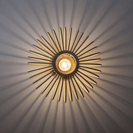 Lampa sufitowa RACOON (11410-79) - Paul Neuhaus