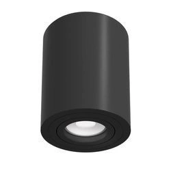 Plafon Alfa (C016CL-01B) - Maytoni