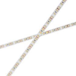 taśma LED Pro Line 25M 12W/mb barwa naturalna (BLAUPUNKT-TL12NW-P)