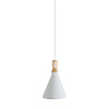 PENDANT 1L ALUMINIUM WHITE (1513-W Zambelis) - Zambelis