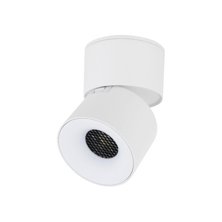 Lampa sufitowa kierunkowa SPARK WHITE CCT 10W (18168) - TK Lighting