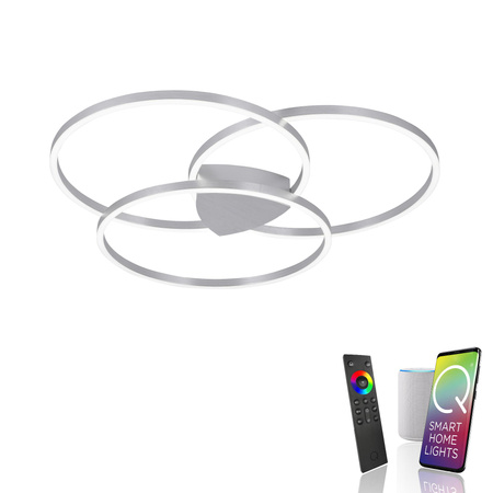 Q-KATE LAMPA SUFITOWA STALOWY (6579-95) - Paul Neuhaus