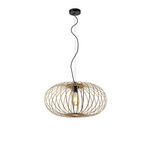 Lampa wisząca RACOON (11409-79) - Paul Neuhaus