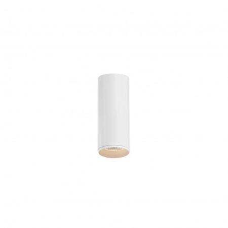 Lampa sufitowa BARLO 14 cm IP44 kolor Biały (70030101) - KASPA