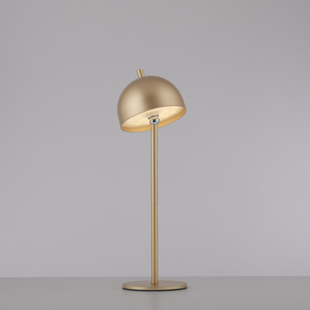 BELLIS LAMPA STOŁOWA ZŁOTA (19244-12) - Paul Neuhaus