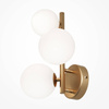 Lampa ścienna (kinkiet) Dallas (MOD545WL-03BS) - Maytoni