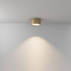 Lampa sufitowa Hydra (C090CL-15W3K-MG) - Maytoni