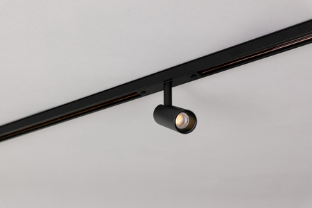 Reflektor Na Szynę 48V Multiline Mini Spot Dali (896198) - Loonari