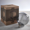 Żarówka Globe (80170) Endon