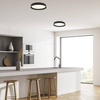 CEILING LIGHT 20W 3000K BLACK (22128 Zambelis) - Zambelis