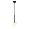 LED PENDANT LIGHT 5W 3000K MATT OPAL WHITE GLASS & BLACK METAL (20254 Zambelis) - Zambelis