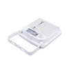 Naświetlacz LED Strongbeam 50W IP65 barwa naturalna (BLAUPUNKT-NLS50NW)