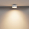 Lampa sufitowa Vega (C089CL-15W3K-W) - Maytoni