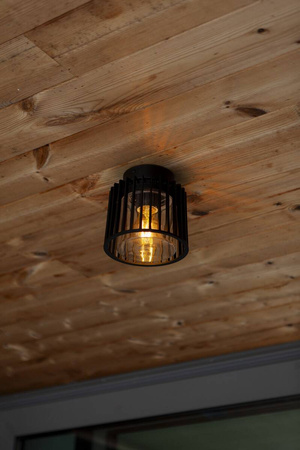 Lampa sufitowa SHYNE (6397501012) - Lutec
