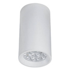 CEILING SPOT 1xGU10 WHITE (S002 Zambelis) - Zambelis