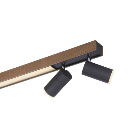 Lampa sufitowa CEILING LIGHT, NATURAL WOOD (6121-79) - Paul Neuhaus