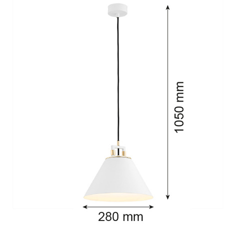 Lampa wisząca 1 pł. ORTE (4914) - Argon