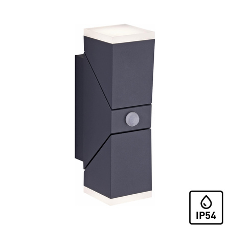 RYAN LAMPA SUFITOWA/KINKIET ANTRACYT (9772-13) - Paul Neuhaus