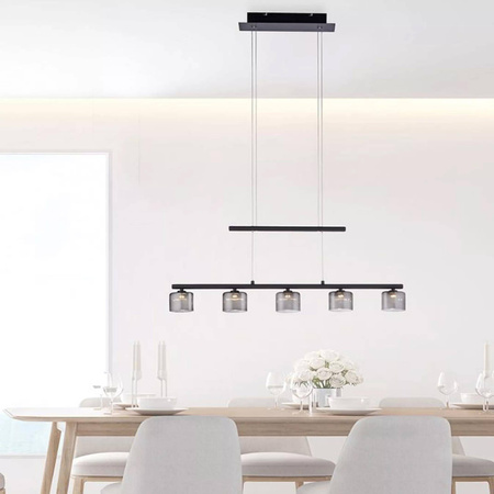 Lampa wisząca HYDRA (2209-18) - Paul Neuhaus