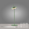 Lampa stołowa zewnętrzna AMAG GREEN IP44 (19310-43) - Paul Neuhaus
