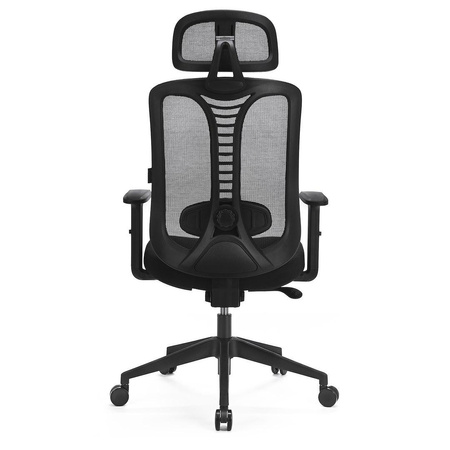 Ergonomiczny fotel z regulacją Ergo Essential (LV0653) - LVN SYSTEM