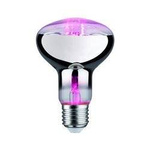 Żarówka LED prowzrostowa Plantt R80 (PL28733) - Paulmann