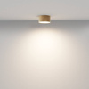 Lampa sufitowa Zon (C032CL-12W3K-RD-MG) - Maytoni