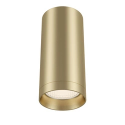 Lampa sufitowa Focus (C010CL-01MG) - Maytoni