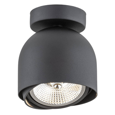 Plafon 1 pł. GARLAND (4711 BZ) - Argon