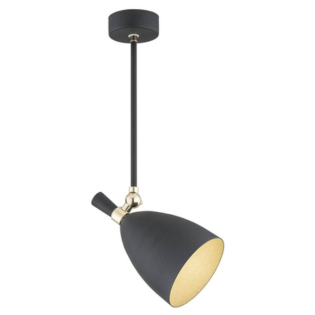 Lampa wisząca 1 pł. CHARLOTTE (4686) - Argon