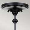Lampa sufitowa Pickering Lane (FE-PICKERING-LANE-SF-BLK) - Elstead Lighting