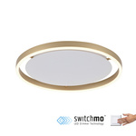 Plafon RITUS (15391-60) - Paul Neuhaus