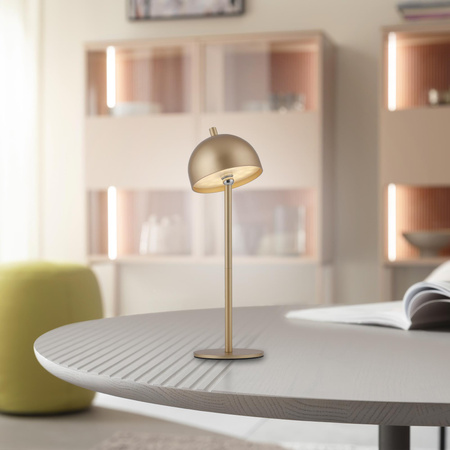 BELLIS LAMPA STOŁOWA ZŁOTA (19244-12) - Paul Neuhaus