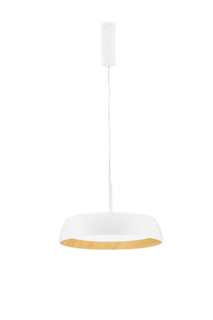 Lampa wisząca wewnętrzna CARACOLLO (LE44813) - Luces Exclusivas