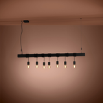 Lampa wisząca TOWNSHEND-B czarna (39938) - EGLO