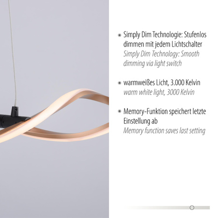 POLIA LAMPA WISZĄCA CZARNY/ZŁOTY (9142-18) - Paul Neuhaus