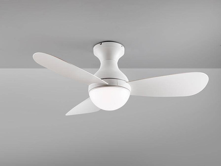 Vito wentylator z oświetleniem LED (218047) - Schuller