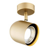 Kinkiet/ Lampa sufitowa ISOLA (8260) - Argon