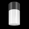Lampa sufitowa Willis (O418CL-01B) - Maytoni