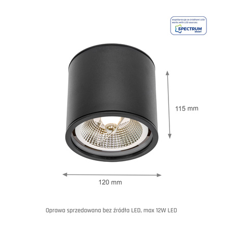 CHLOE AR111 NATYNKOWA GU10 250V IP65 120x115mm CZARNY okrągła nieruchoma (SLIP005032) - Spectrum LED