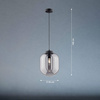 Lampa wisząca Regi (60710) - Fischer&Honsel