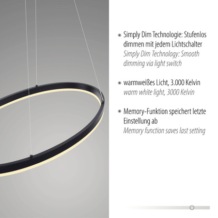 LAMPA WISZĄCA TITUS (2392-13) - Paul Neuhaus